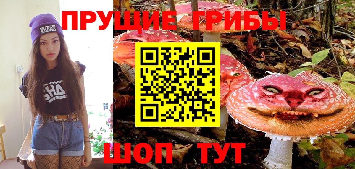 Псилоцибиновые грибы Psilocybe  цена наркотик  Галлюциногенные грибы MAGIC MUSHROOMS  Кинель  Вход с VPN 